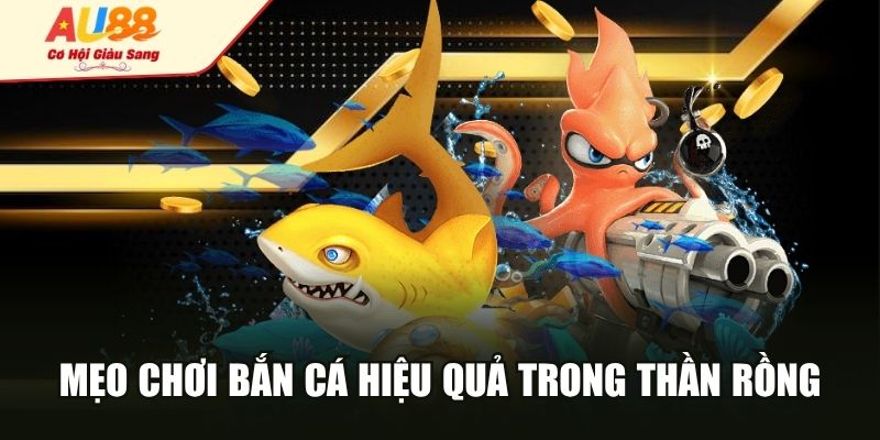 Mẹo chơi bắn cá hiệu quả trong thần rồng